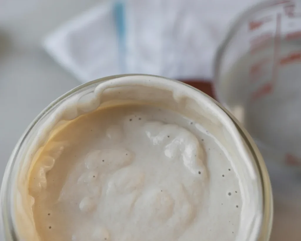 Steps to make a gluten-free sourdough starter using brown rice or buckwheat flour.